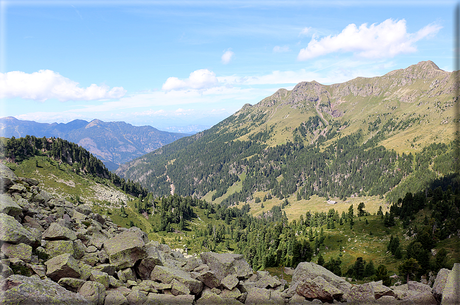 foto Forcella di Montalon